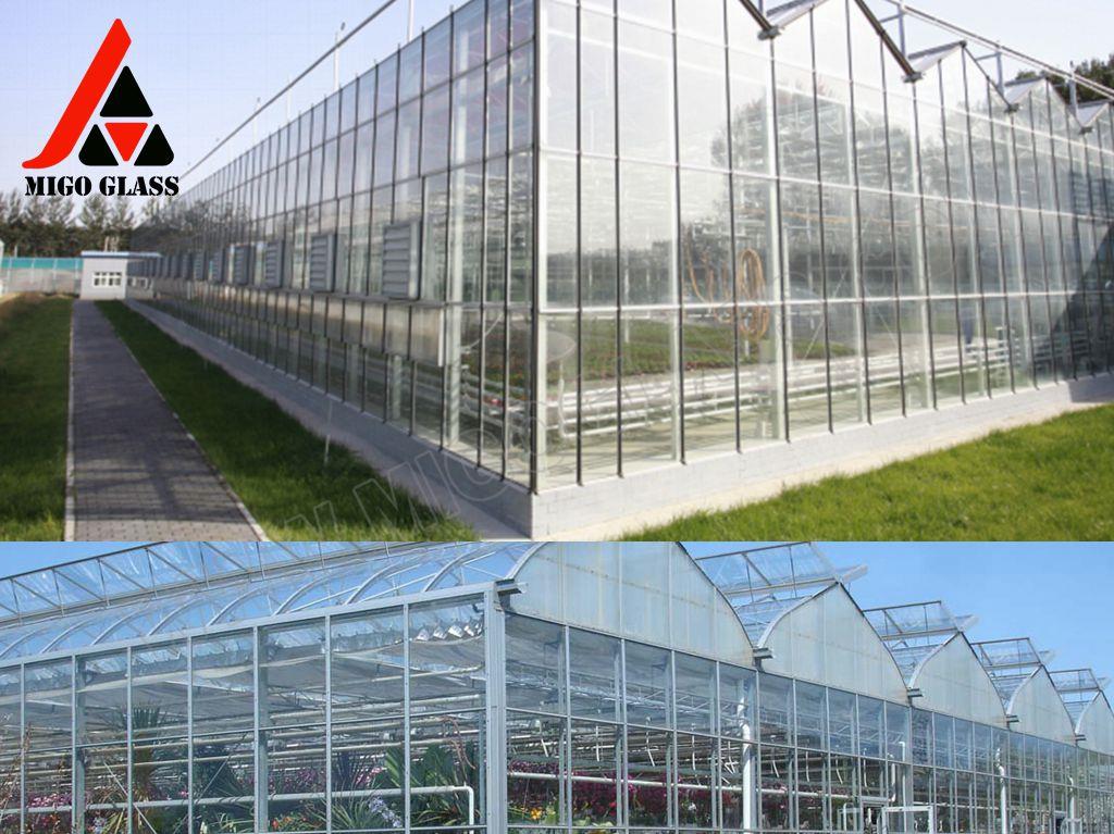 greenhouse glass