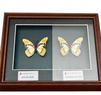 আর্টগ্লাস UV70 ছবির ফ্রেমের জন্য